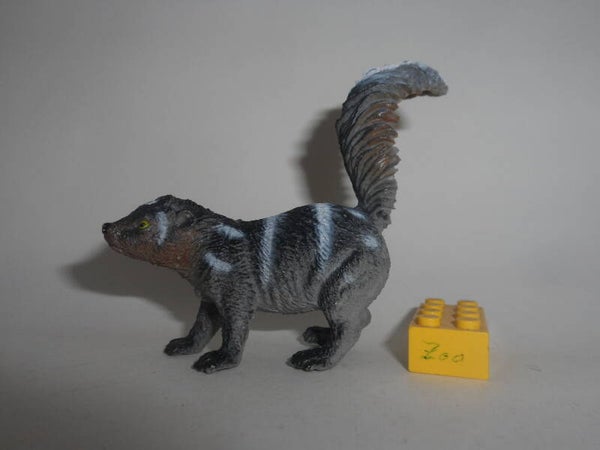 Nayab Fleckenskunk  Stinktier   Spotted skunk