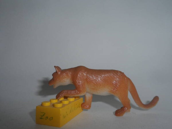 K&M  Puma   Cougar