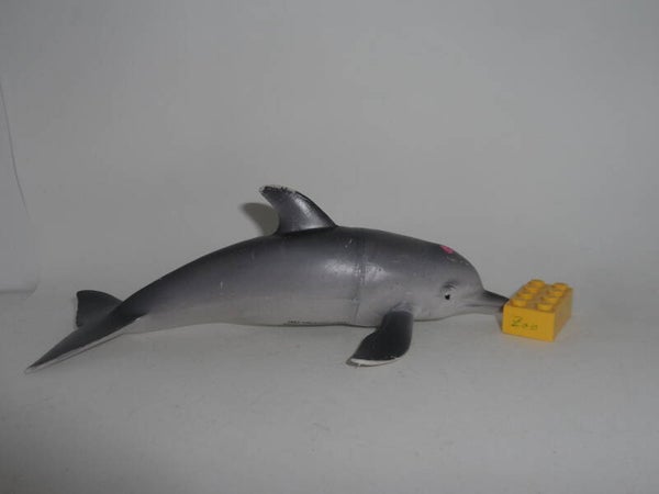 Greenbrier   International Inc  Großer Tümmler   Delfin    Bottlenose dolphin