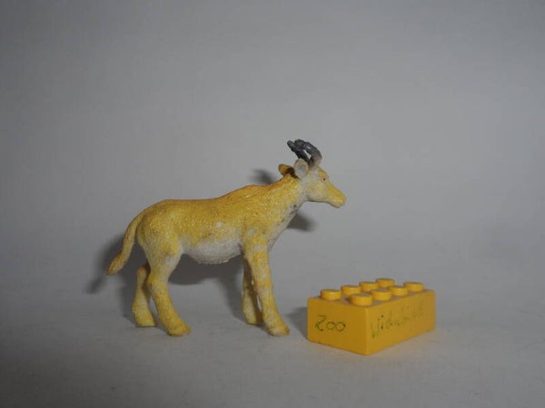 Nayab   Leierantilope  Topi Antilope   Topi antelope