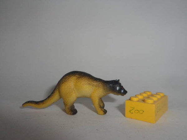 Nayab Larvenroller    Masked palm civet