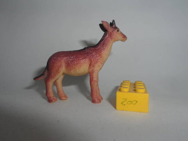 Nayab   Nilgauantilope   Antilope   nilgai antelope