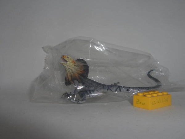 Toymany  Kragenechse     frilled lizard