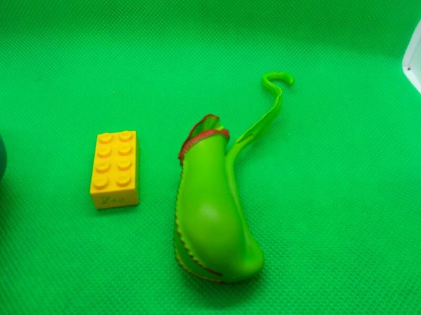 Takara Tomy Arts  Kannnepflanze   tropical pitcher plant  Nephentes    Variante A