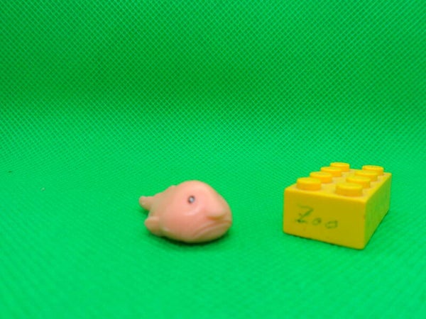 Archie McPhee  Dickkopf - Groppe Blobfisch   blobfish