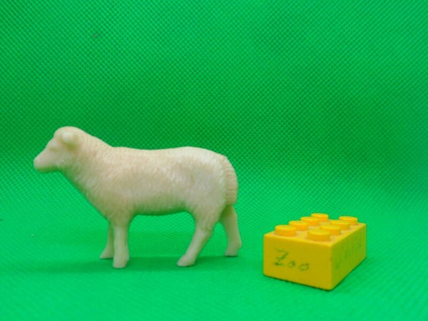 Heinerle / Manurba / Domplast   Schaf stehend   sheep standing 2