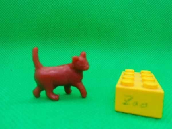 Tim - Mee  Katze   cat