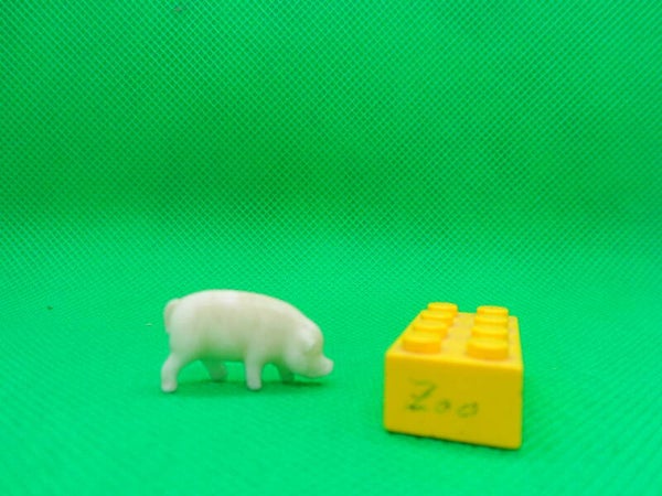 Tim - Mee  Schwein  Pig 3