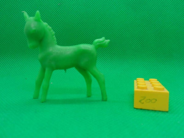 Leyla    Fohlen   Pferd     foal    horse