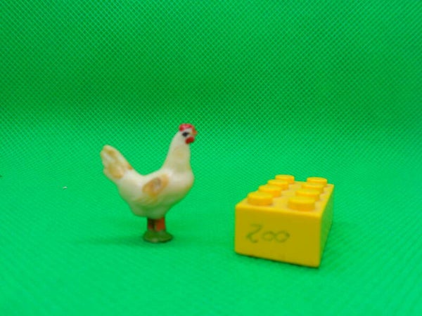 Leyla  Henne Huhn    Hen  chicken