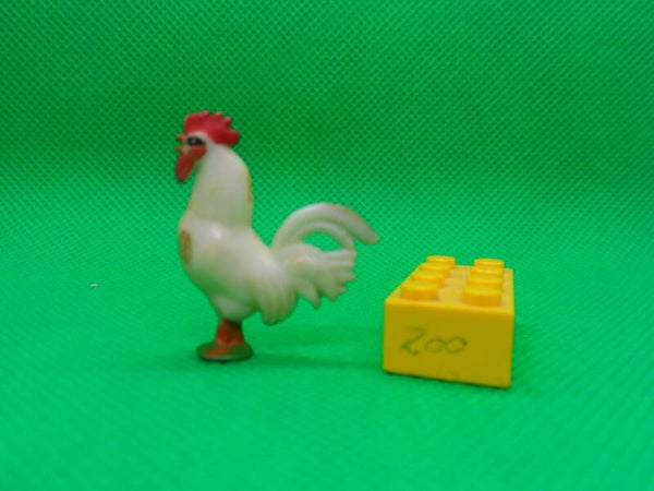 Leyla  Hahn  rooster