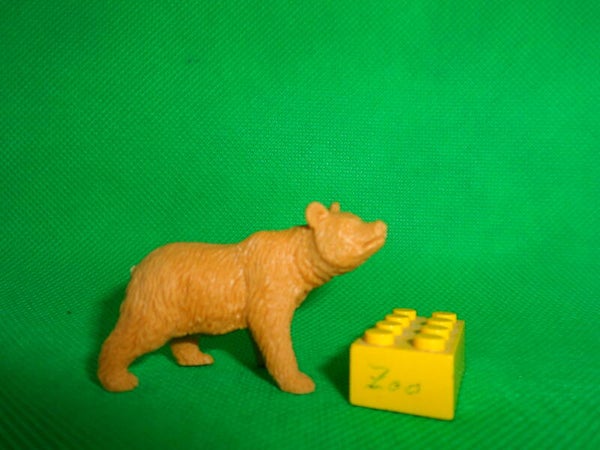 Heng Mu Braunbär  Bär   brown bear