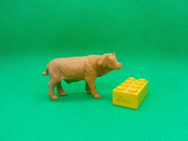 Heng Mu  Kaffernbüffel Schwarzbüffel african buffalo