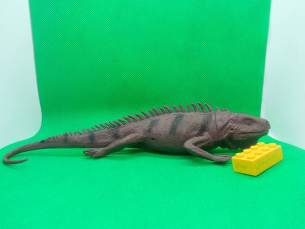 Greenbrier International Inc   Leguan  iguana