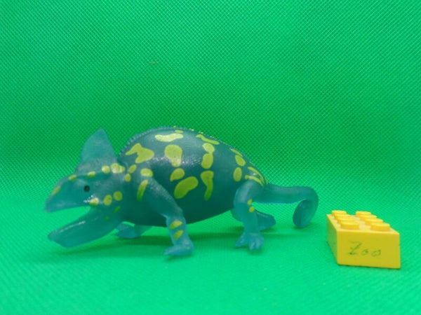 Blue Ocean  Planet Wow  Jemenchamäleon  Chamäleon  Yemen veiled chameleon