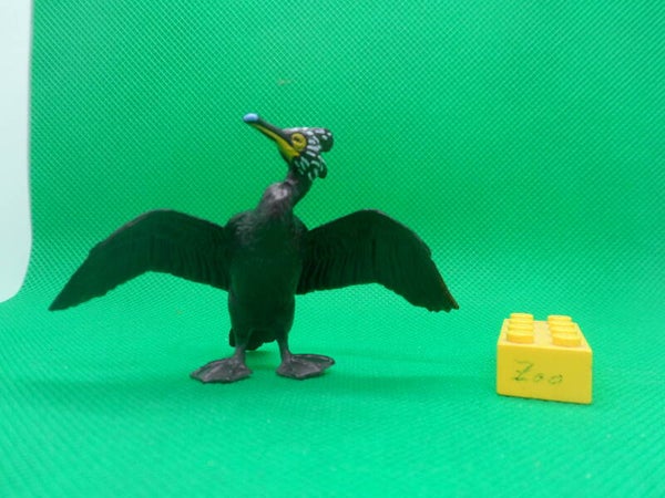 Animal Kingdom  Pallasscharbe  Brillenkormoran   spectacled cormorant