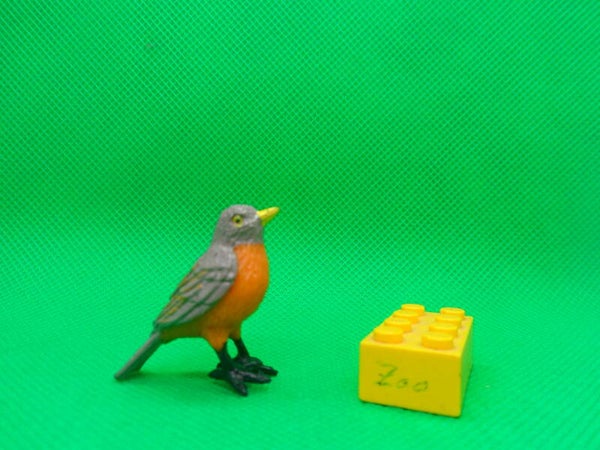 Archie McPhee  Wanderdrossel  American Robin