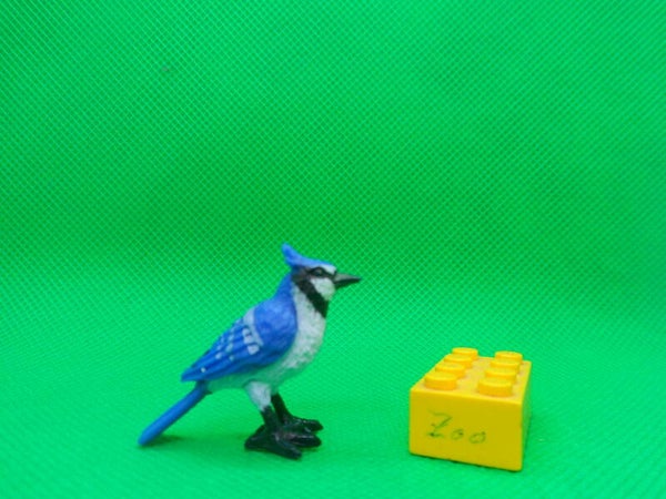 Archie McPhee  Blauhäher   Blue Jay