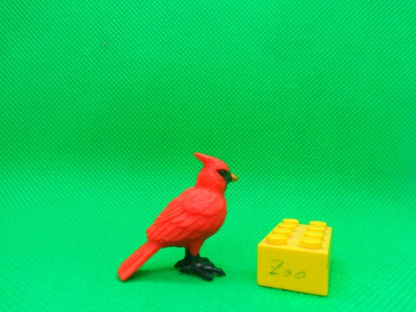 Archie McPhee  Roter Kardinal  Rotkardinal Vogel  red cardinal