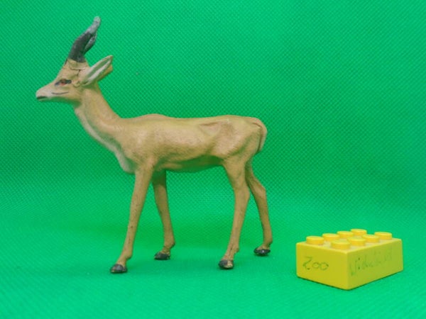 Hausser Elastolin  Gazelle