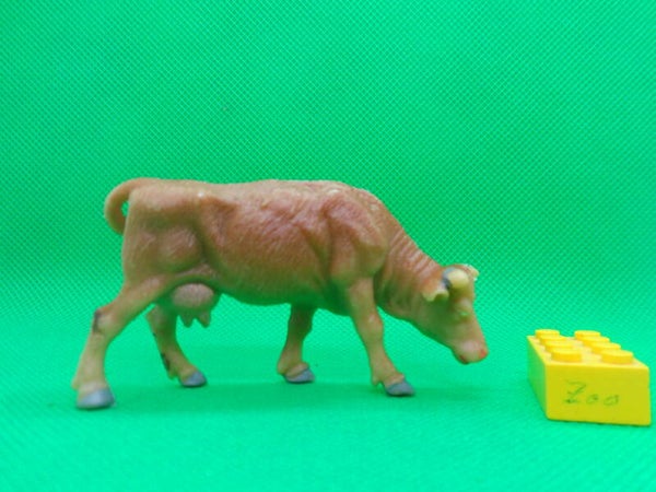 VEB Plaho   Kuh  grasend braun  cow   3