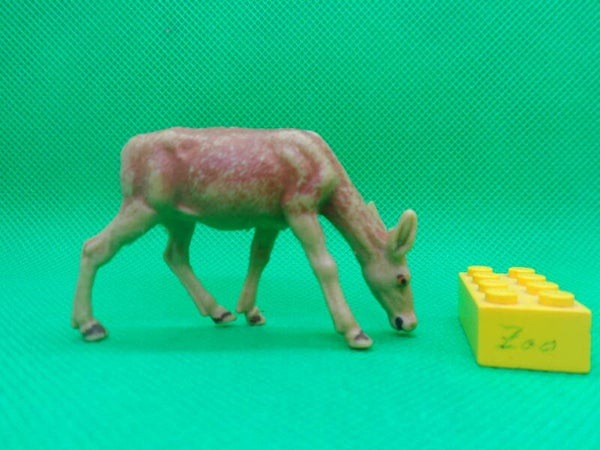 VEB Plaho  / Marolin  Hirschkuh Hirsch grasend  hind red deer female grazing 1