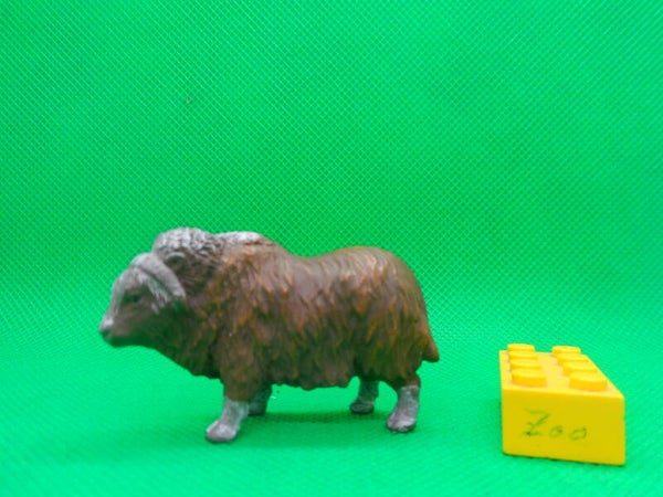 Toymany  Moschusochse   Muskox