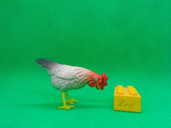 PGH Effelder  Huhn  Henne pickend   chick