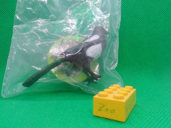 Animal Paradise Oenux   Elster  Magpie