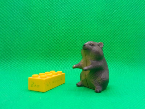 Ricolino Lemming  Waldlemming sibirian lemming