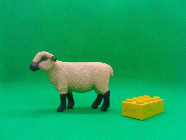 Tedi Shropshire - Schaf  sheep