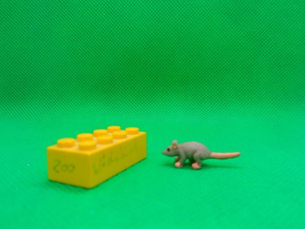 Archie McPhee  Ratte  Hausratte  rat