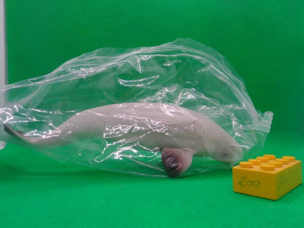 Toymany Beluga  Weißwal  Wal Beluga whale Delphinapterus leucas