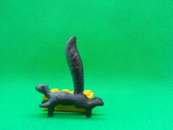 Ricolino Weißrüsselskunk Amazonas - Stinktier  Striped hog-nosed skunk  Conepatus semistriatus  Zorillo