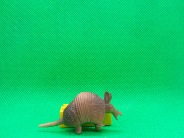 Ricolino Neunbinden - Gürteltier  Nine banded armadillo  Dasypus novemcinctus