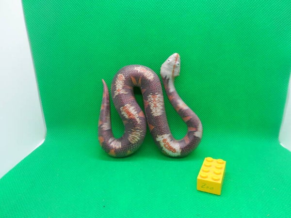 Planet Wow Blue Ocean  Gabunviper  Gaboon viper  Bitis gabonica  Schlange