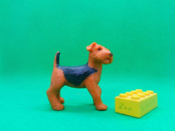 MEG Puppy in my Pocket  Airdale Airedale Terrier