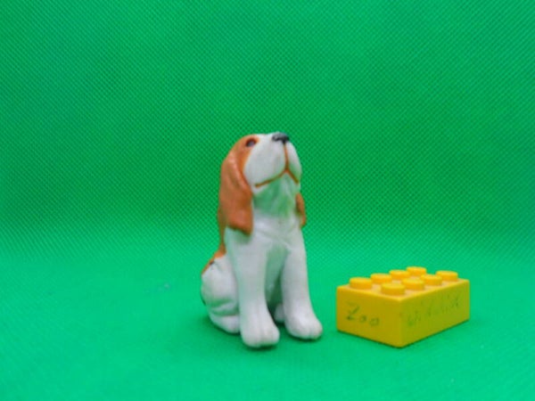 MEG Puppy in my Pocket  Bloodhound  Hubertushund  Hund