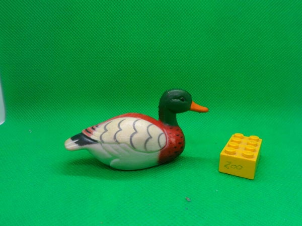 Stockente Ente  Mallard duck  Anas platyrhynchos  Canard colvert