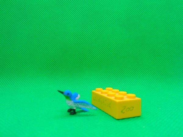 Archie McPhee  Jakobinerkolibri  white necked jacobin hummingbird  Kolibri   Florisuga mellivora    Colibri jacobin