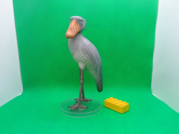 Phat! Doki doki  Schuhschnabell shoebill  Balaeniceps rex  Китогла́в  picozapato  Bec-en-sabot du Nil   鲸头鹳