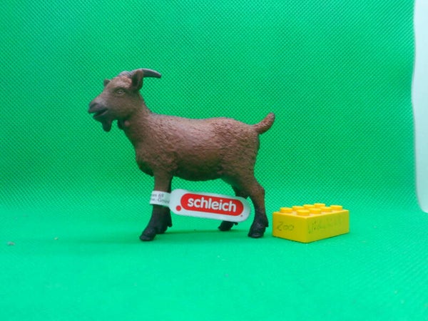 Schleich 13828 Ziege  Goat  Capra aegagrus hircus  cabra  Chèvre