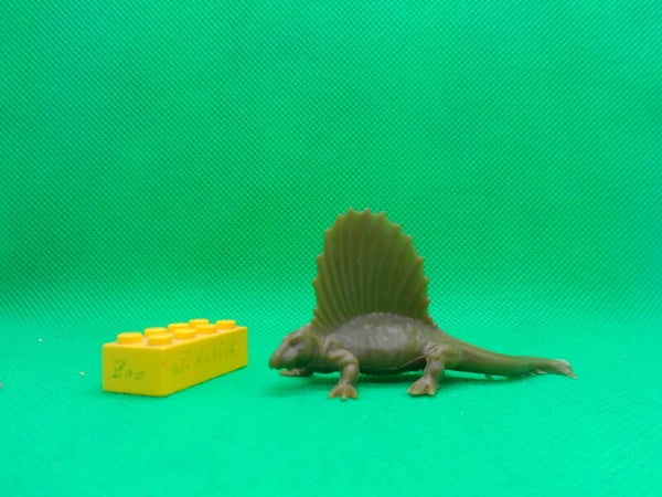 Linde Dimetrodon  Dimétrodon  Диметродоны  Dinosaurier Dinosaur