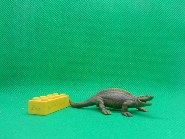 Linde Sphenacodon  Dinosaurier Dinosaur  Сфенакодон  sphénacodon