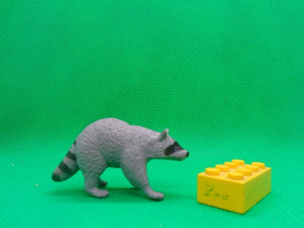 Safari Ltd Waschbär  Raccoon  mapache boreal  Procyon lotor  Енот-полоскун  Raton laveur