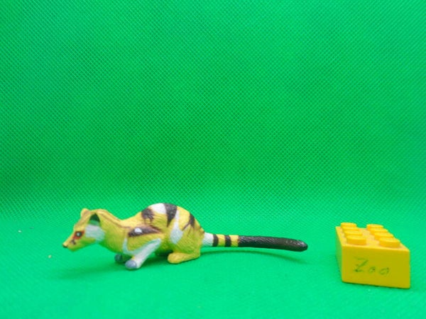 Play Visions Bänderroller  Banded Palm Civet  civeta de las palmeras rayada  Hemigalus derbyanus  Civette palmiste à bandes