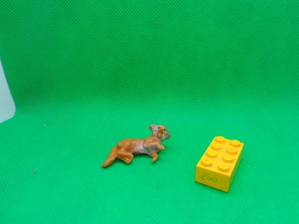 VEB Plaho   Fuchs  Rotfuchs   Fuchswelpe  liegend  Red  Fox  cub Vulpes vulpes Обыкновенная лисица   zorro común  Renard roux  3