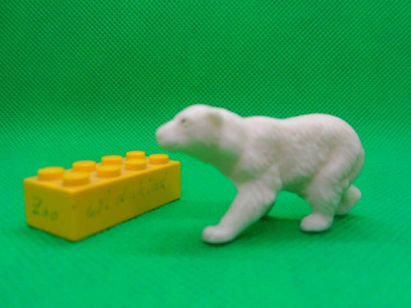 VEB Plaho / Marolin  Eisbär Jungtier laufend polar bear cub 2 Белый медведь Ursus maritimus oso polar ours blanc