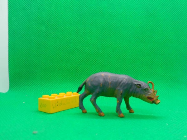 Starlux Hirscheber  Babyrousa  Babirusa  Бабируссы  Babiroussa  鹿豚