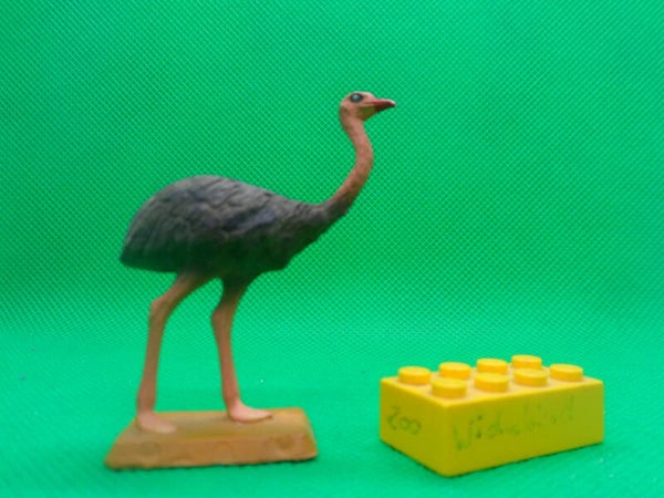 Starlux Nandu  Rhea  Нанду  Ρέα  ñandú